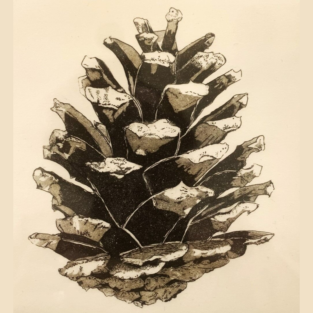 Waikato Society of Arts